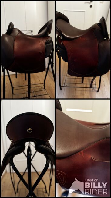 Sommer Brasilia, Sommer Brasilia, Nadine Eder-Knispel, Dressage Saddle, Schwendau, Image 17
