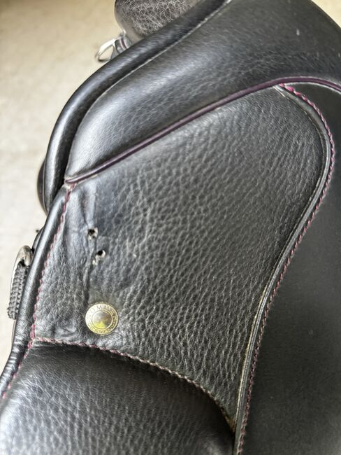 Sommer Brasilia, Sommer Brasilia, Nadine Eder-Knispel, Dressage Saddle, Schwendau, Image 4