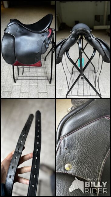 Sommer Brasilia, Sommer Brasilia, Nadine Eder-Knispel, Dressage Saddle, Schwendau, Image 11