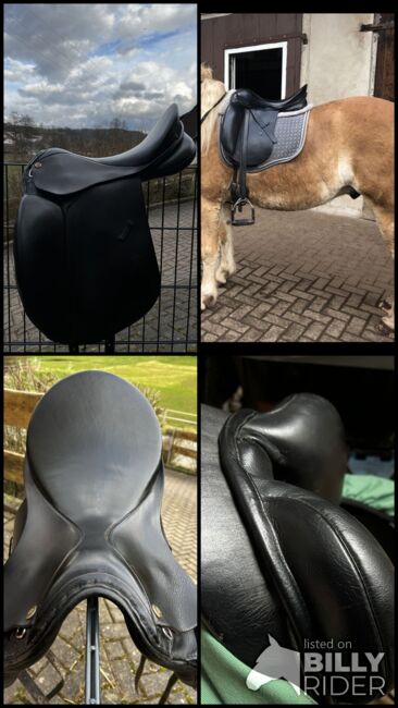 SOMMER DRESSUR, Sommer Royal, Sarah , Dressage Saddle, Bad Hersfeld, Image 13