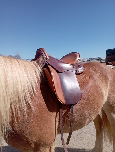 Sommer Evolution WanderreitSattel, Sommer Evolution , Laura, Lambskin Pad, Uersfeld