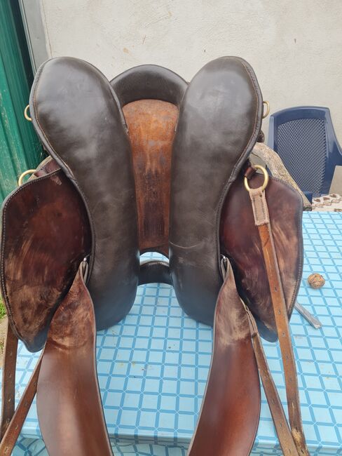 Sommer Evolution Western, Sommer Evolution , Janine Mosmann, Western Saddle, Oberthal, Image 2