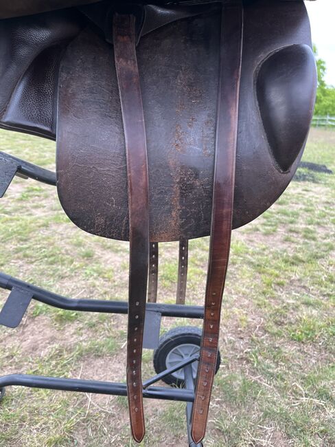 Sommer Marakesh 17 5, Sommer Marakesh, Natalie, Endurance Saddle, Wilschdorf, Image 8