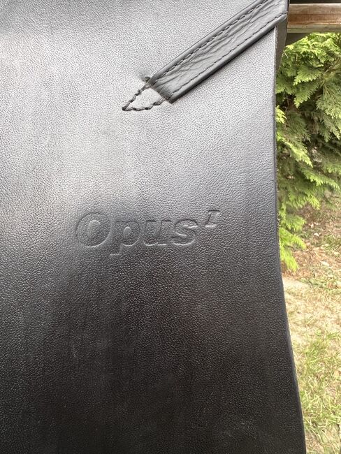 Sommer Opus Tölt, Sommer Opus Tölt, Christiane Rahlwes, Icelandic Saddle, Hanstedt I, Image 5