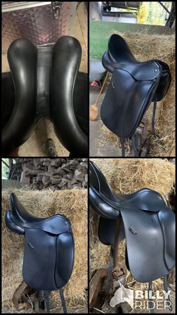 Sommer Remos Dolce, Sommer Remos Dolce, Gorenflo, Dressage Saddle, Karlsruhe, Image 8