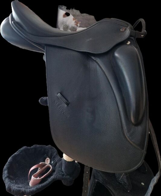 Sommer sleipnir, Sommer Sleipnir , Carolin , Dressage Saddle, Ketzin