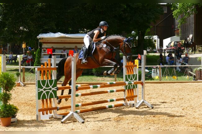 Super Allrounder und absolutes Herzenspferd abzugeben, Kerstin Rehbehn (Pferdemarketing Ost), Horses For Sale, Nienburg, Image 3