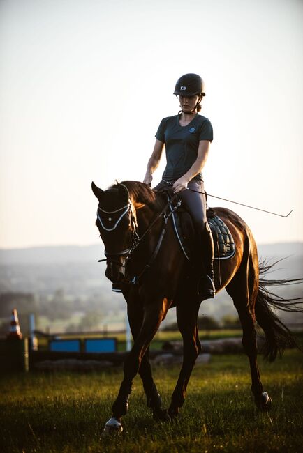 Super Allrounder und absolutes Herzenspferd abzugeben, Kerstin Rehbehn (Pferdemarketing Ost), Pferd kaufen, Nienburg, Abbildung 4