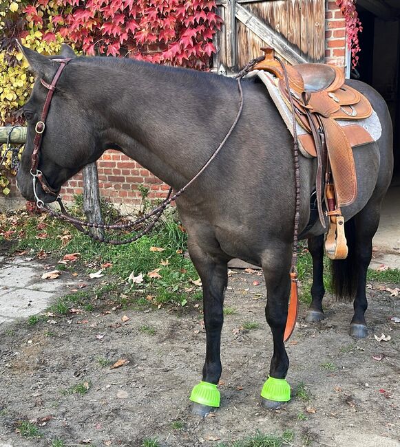 super sitzbequeme Quarter Horse Stute, Kerstin Rehbehn (Pferdemarketing Ost), Horses For Sale, Nienburg, Image 6