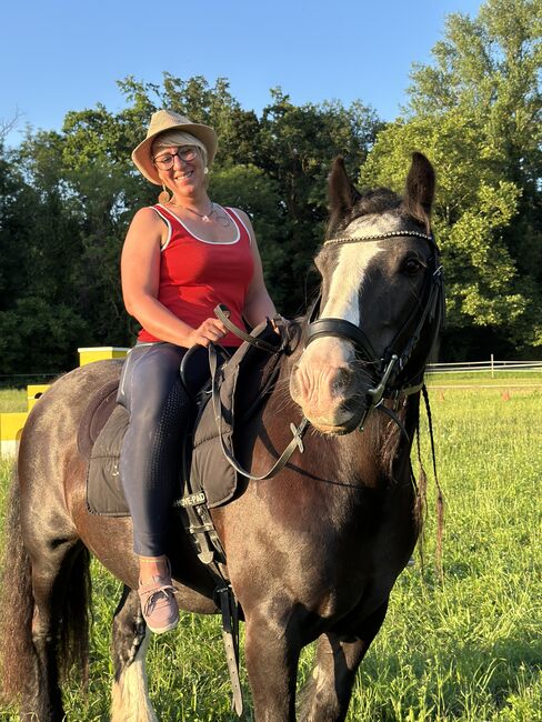 ❤️Super liebe Tinkerstute❤️, Kerstin , Horses For Sale, Weil am Rhein