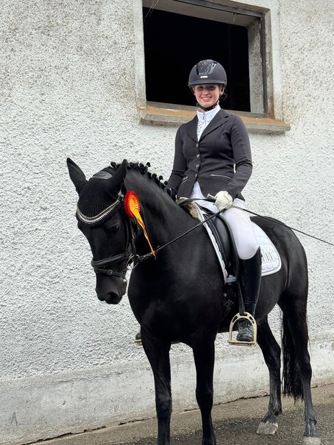 Super schicke Pony Rappstute für alle Sparten, Susanne, Konie na sprzedaż, Marktl