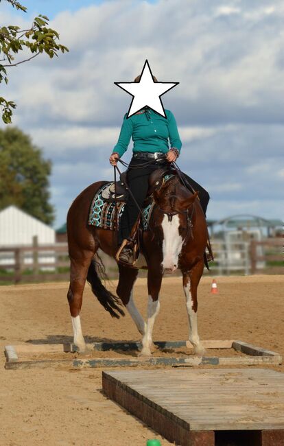 Superliebe, kinderliebe Paint Horse Stute, Kerstin Rehbehn (Pferdemarketing Ost), Horses For Sale, Nienburg, Image 3
