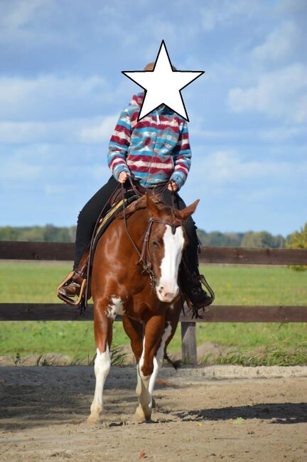 Superliebe, kinderliebe Paint Horse Stute, Kerstin Rehbehn (Pferdemarketing Ost), Konie na sprzedaż, Nienburg, Image 2