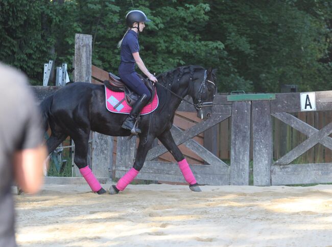 Superpony 147cm!  Höflich, lebhaft, tolle Bewegung, Rafal, Pferd kaufen, Nowy Targ, Abbildung 3