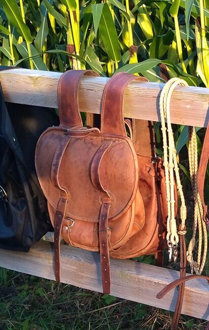 Super praktische Satteltaschen aus festem Leder, Annemarie, Endurance Saddle, Seegräben