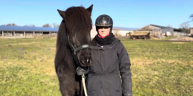 Super Sportpferd mit Wow factor Islandpferd, Silke Köhler, Horses For Sale, Image 11
