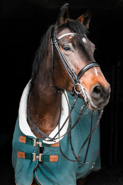 Beistellerin sucht Zuhause, Tini, Horses For Sale, Landau an der Isar