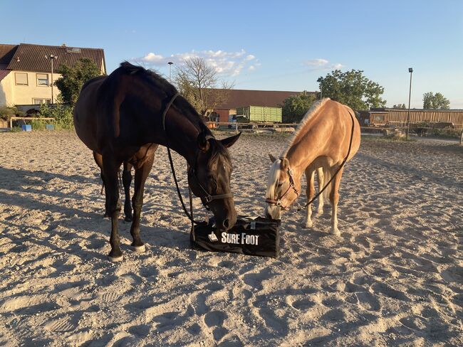 SURE FOOT Balancepads Trainingspads Wellness, SURE FOOT Balancepads by Wendy Murdoch, Valeska, Bodenarbeit, Bischofsheim