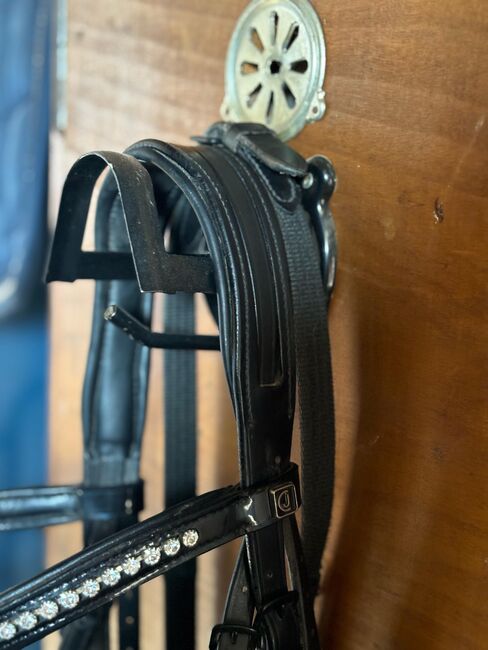 Schwarze Lack Trense Größe Cob, Selina D., Bridles & Headstalls, Hütschenhausen , Image 2