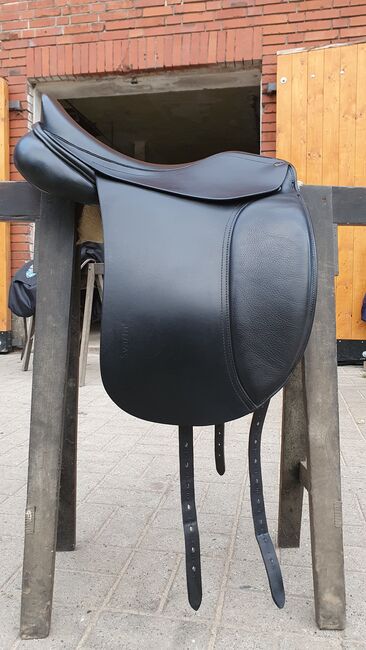 Svarta Liberty, Svarta Liberty , BlackNightLady , Icelandic Saddle, Uelzen