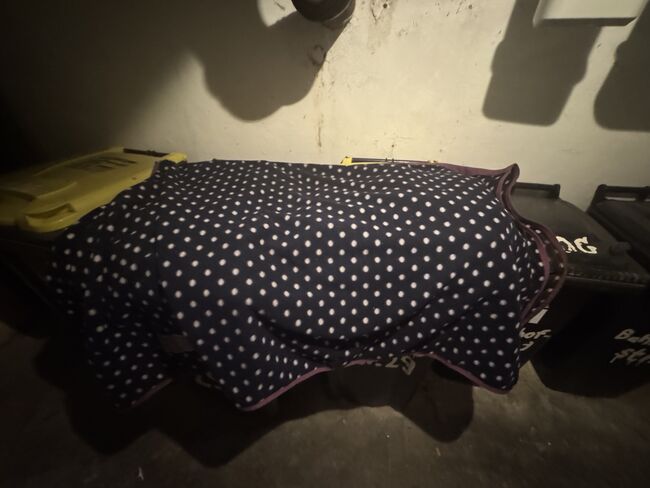 Abschwitzdecke 145, Jennifer Roeters , Horse Blankets, Sheets & Coolers, Gronau 