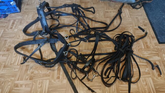 Tausche/Verkaufe Shetty zweispännergeschirr, Nicht bekannt Nicht bekannt , F.R, Horse Harness, Brandenburg