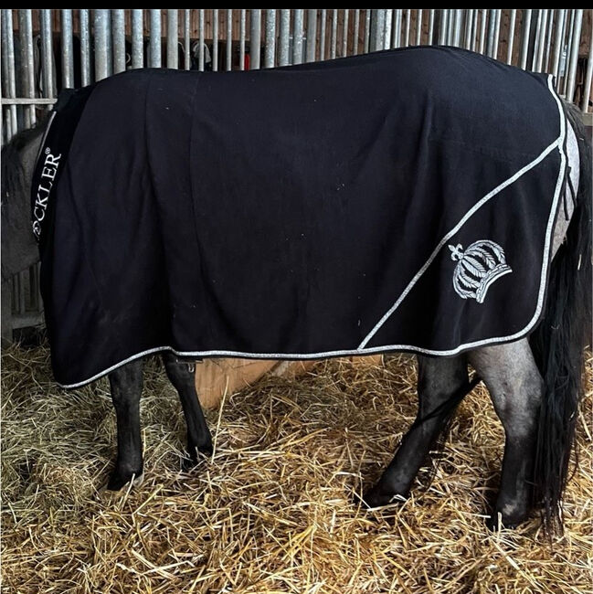 Abschwitzdecke 125cm, Glöckler, Tatti, Horse Blankets, Sheets & Coolers, Herzogenrath, Image 2