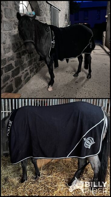 Abschwitzdecke 125cm, Glöckler, Tatti, Horse Blankets, Sheets & Coolers, Herzogenrath, Image 3