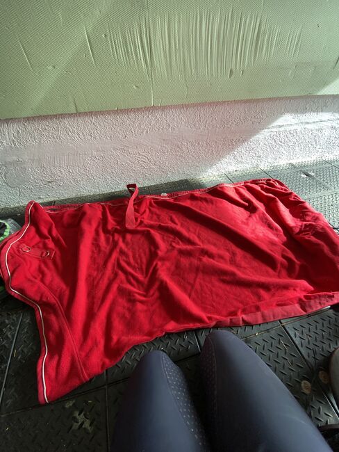 Abschwitzdecke, Felix Bühler , Stephanie , Horse Blankets, Sheets & Coolers, Graz 