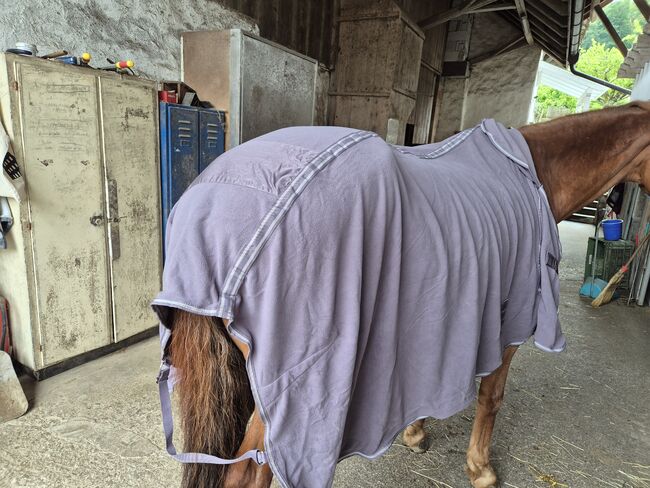 Abschwitzdecke, Felix Bühler, Tamara O., Horse Blankets, Sheets & Coolers, Windisch