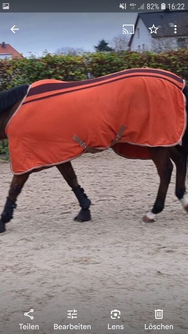 Abschwitzdecke, Michelle Peterek , Horse Blankets, Sheets & Coolers, Hameln 