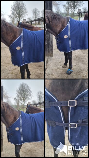 Abschwitzdecke, Horse friends , Danielle Olbrich, Horse Blankets, Sheets & Coolers, Reiskirchen, Image 9