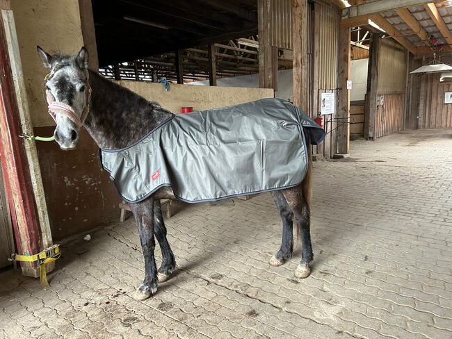 Abschwitzdecke // Führanlagendecke (Walker) // Nierendecke, Lain Rink, Horse Blankets, Sheets & Coolers, Bad Endbach