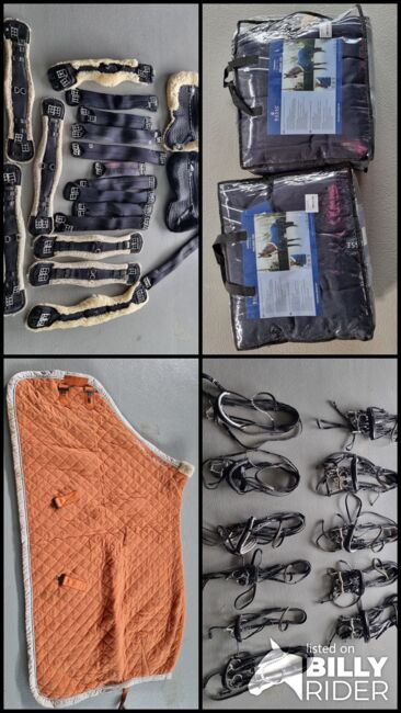 Abschwitzdecken, Stalldecken, Trensen, Fliegendecken, Busse eskadron , Denise , Horse Blankets, Sheets & Coolers, Lohne, Image 10