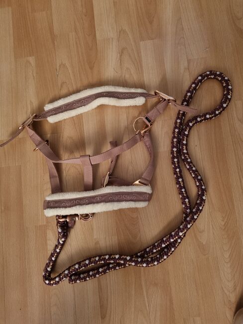 Tolles Halfter und Strick, Felix Bühler, Sabrina , Kantary, Berlin