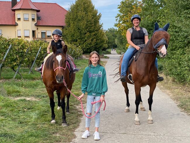 Tolles Familienpferd, Nina Kühn, Konie na sprzedaż, Dienheim , Image 5