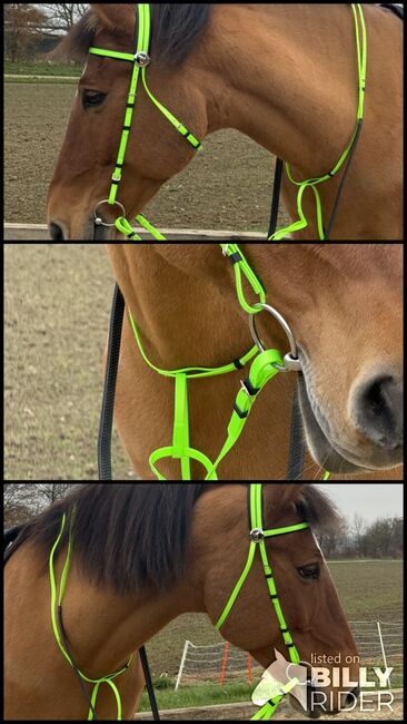 Kunststoff Zaumzeug NEONGRÜN glänzend mit Martingal, Maya (Swisshorseshop), Bridles & Headstalls, Frauenfeld, Image 4