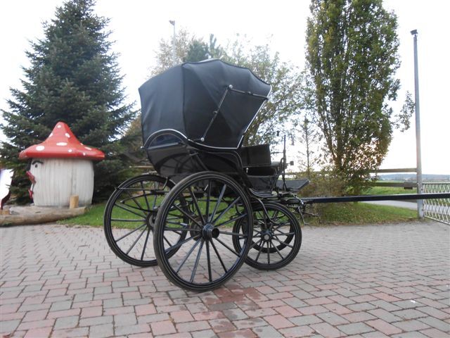 Doktorchaise, Nadja Peter, Powozy konne, Ettingen, Image 3