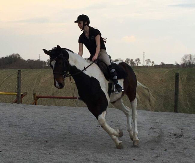Suche eine Reitbeteiligung auf braver Scheckstute, Martina Thomas, Horse Sharing
, Krexham