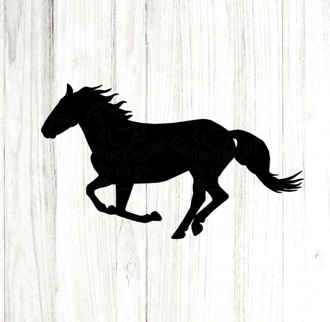 Ich suche ein Pflege oder Reit Beteiligung, Zoe, Horse Sharing
, Sinsheim 