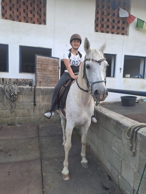 Braves Reitpferd zu verkaufen, Birgit, Horses For Sale, Riegersburg