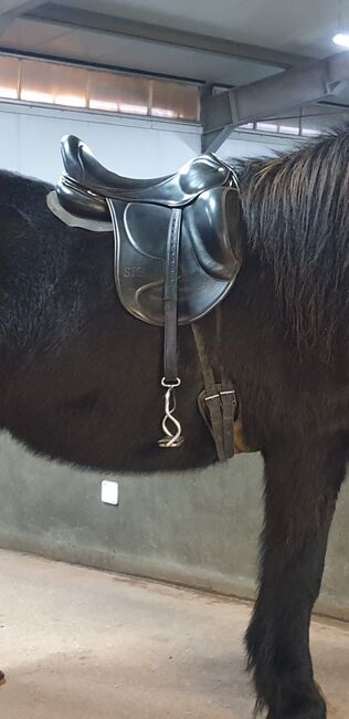 Tøltsaga Sigurd 17" - 17,5", Tøltsaga Sigurd, Ida, Siodła islandzkie, Münster