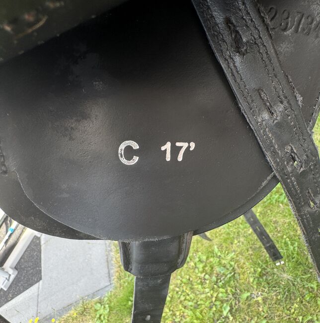 Tøltsaga Sigurd 17 Zoll, Tøltsaga Sigurd, Sandra Behrendt , Icelandic Saddle, Lingen , Image 6