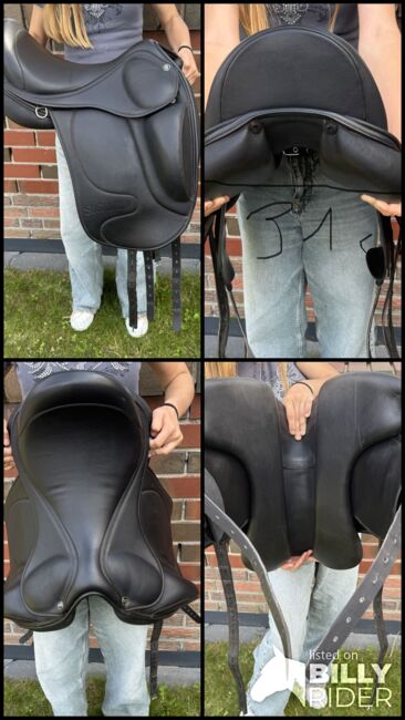 Tøltsaga Sigurd 17 Zoll, Tøltsaga Sigurd, Sandra Behrendt , Icelandic Saddle, Lingen , Image 7