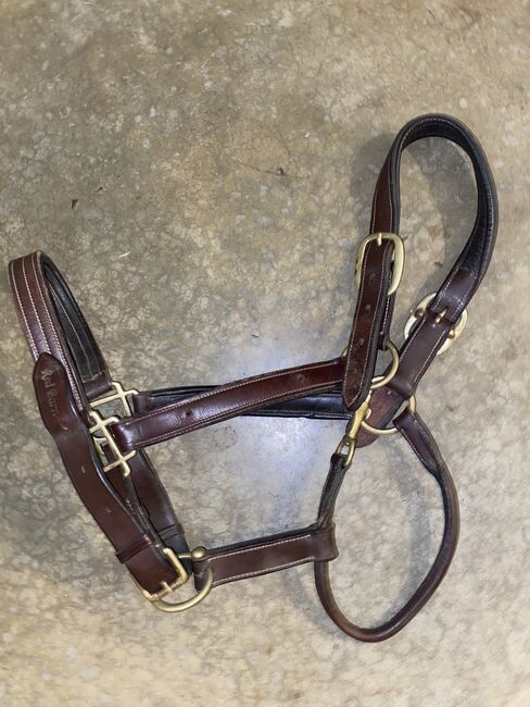 Tack clean out, Kaitlin Hall, Pozostałe, Brownsboro , Image 9