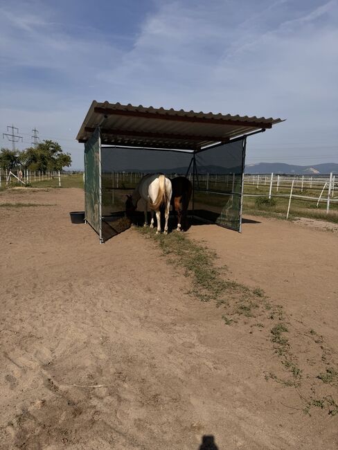 Weidezelt Mit solidem Dach und Windschutznetz, Hofmeister, Sylke, Horse Shelters & Tents, Edingen