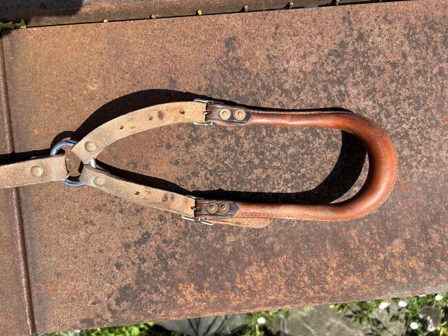 Schweifriemen für Maultier oder Esel, Luzia, Saddle Accessories, Spiez