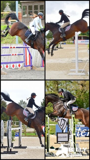 Talented 8 yr old Show Jumping Mare, lucie Lindsay, Konie na sprzedaż, Pooksgreen, Image 5