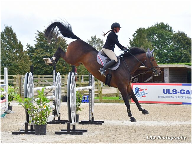Talented 8 yr old Show Jumping Mare, lucie Lindsay, Konie na sprzedaż, Pooksgreen, Image 2