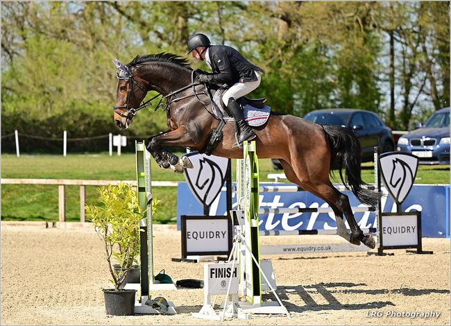 Talented 8 yr old Show Jumping Mare, lucie Lindsay, Konie na sprzedaż, Pooksgreen, Image 3